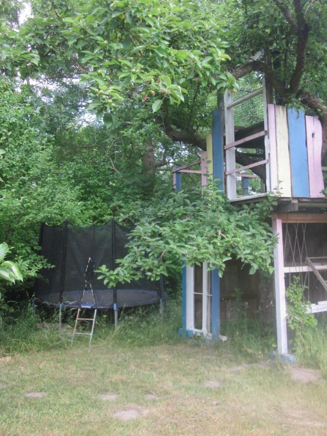 Ferienwohnung Pusteblume Steinhofel المظهر الخارجي الصورة